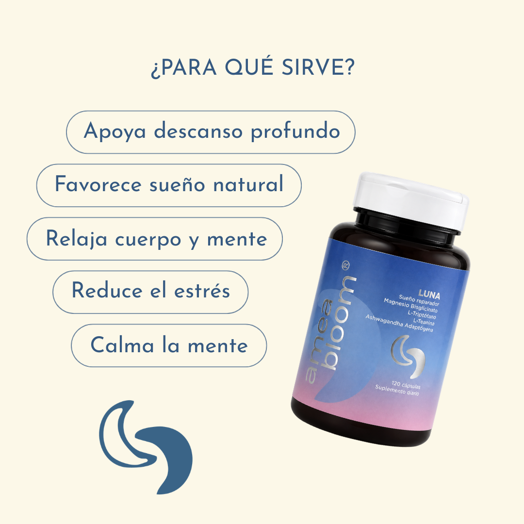 Kit Equilibrio en Bloom