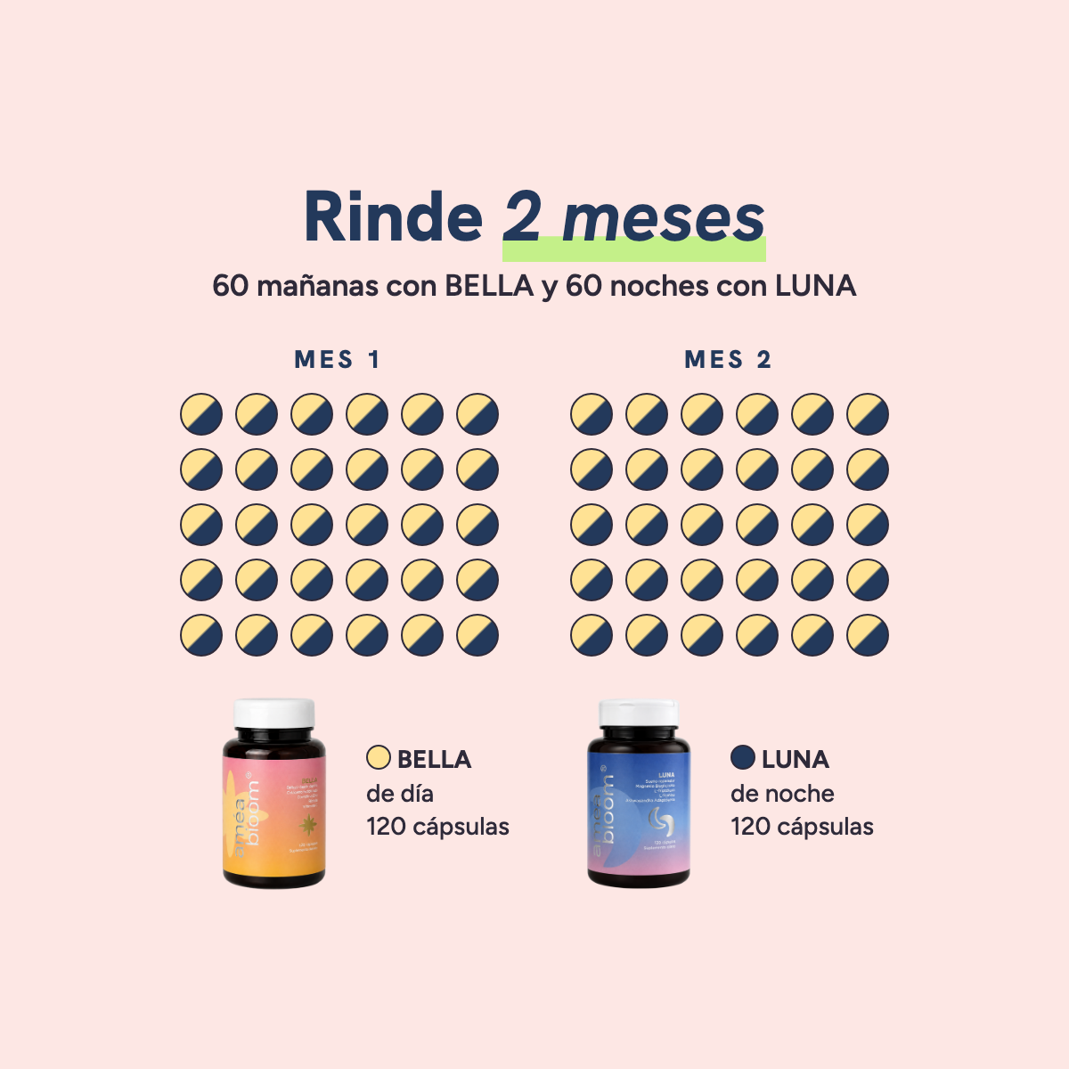 Bella Durmiente rinde 2 meses: 60 mañanas con BELLA y 60 noches con LUNA, 120 cápsulas en cada frasco