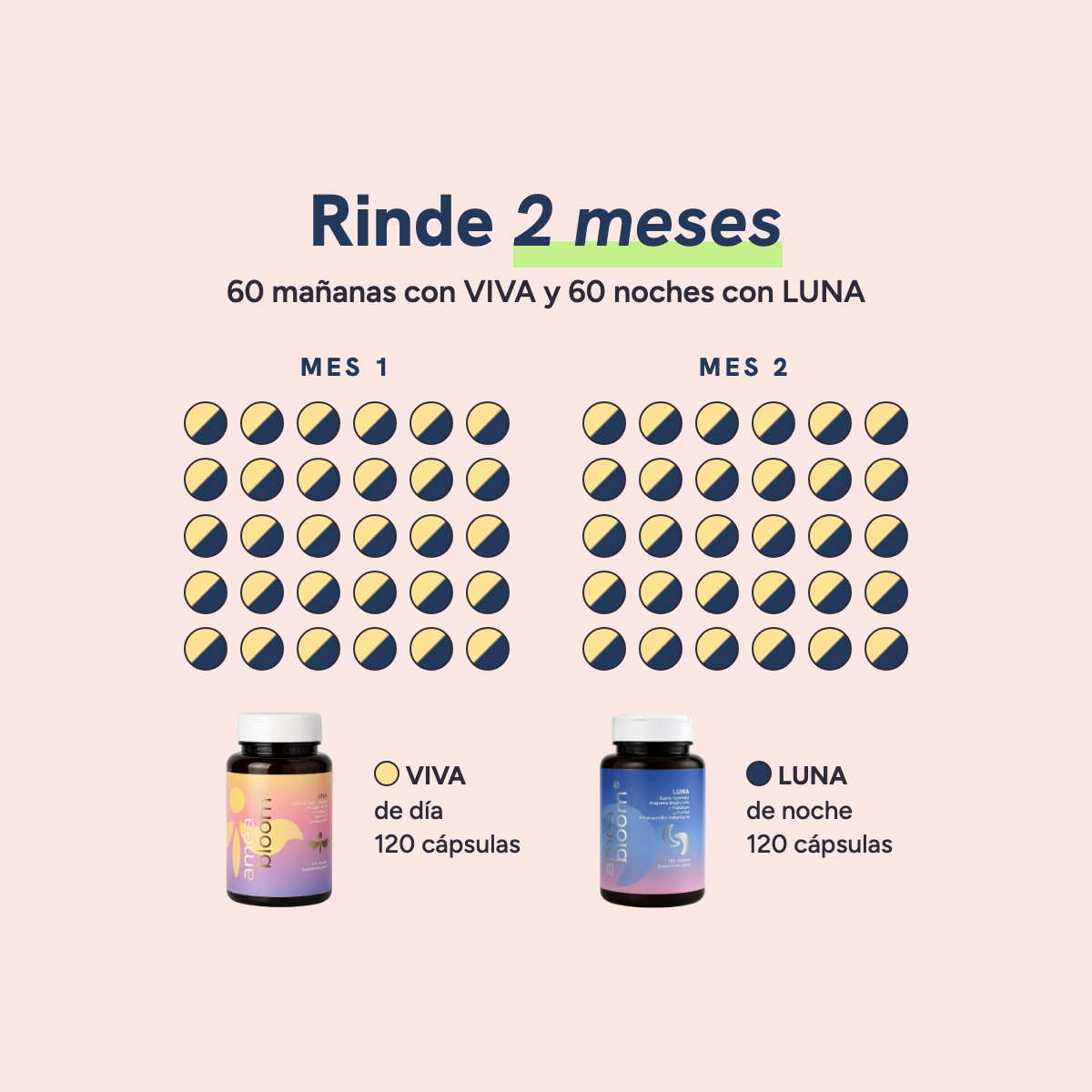 Día y Noche rinde 2 meses: 60 mañanas con VIVA y 60 noches con LUNA, 120 cápsulas en cada frasco