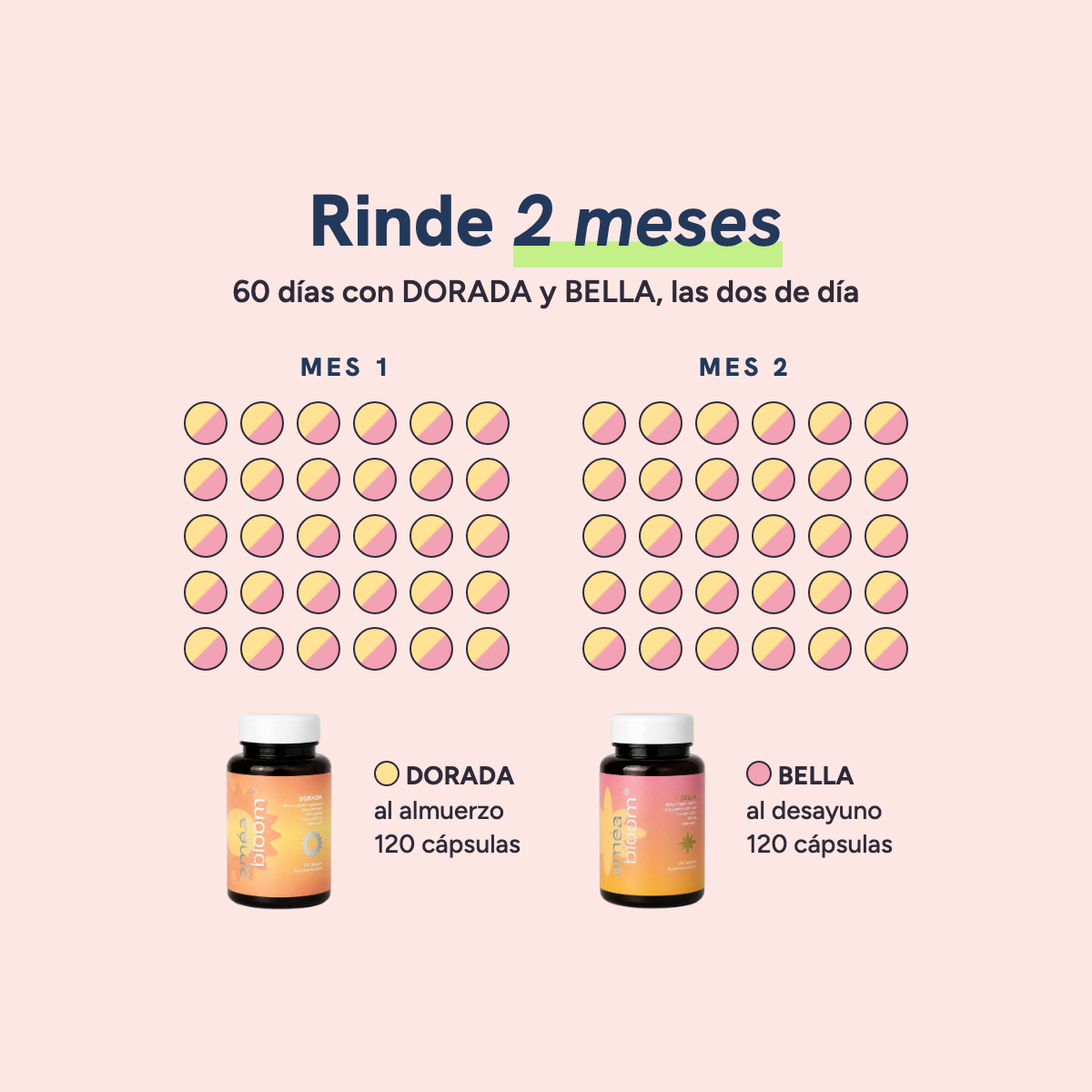 Verano en Bloom rinde 2 meses: 60 días con DORADA y BELLA, las dos de día, 120 cápsulas en cada frasco